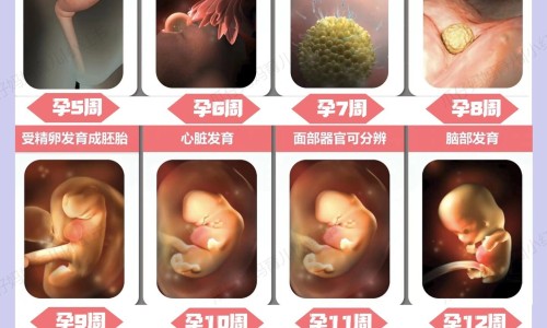 孕妇可以吃生鱼片吗-专业怀孕能吃鱼吗平台-孕妇可以吃生鱼片吗?芥末可以吗?